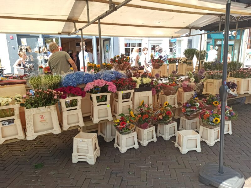 J26 – Marché de Delft